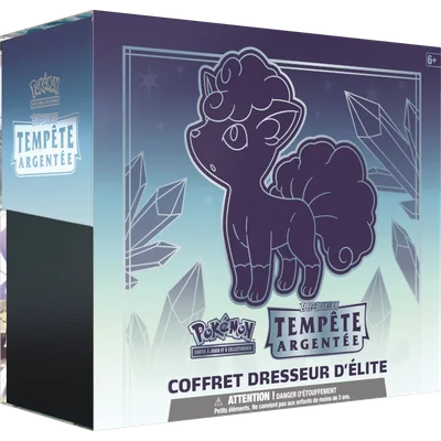 Coffret Dresseur d'élite Tempête Argentée